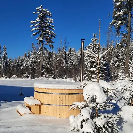 Holiday home Wooden Wroblowa Chalupka Przy Dolinie Chocholowskiej