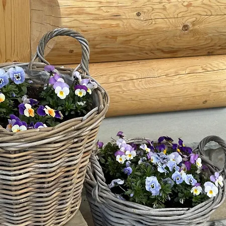 Ferienhaus Wooden Wroblowa Chalupka Przy Dolinie Chocholowskiej